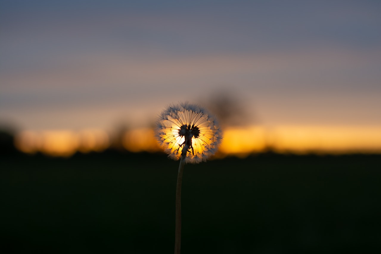 The Romance of a Sunset: A Timeless Love Story